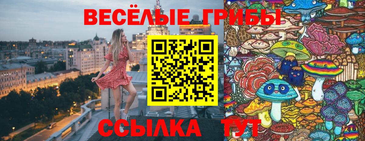 Галлюциногенные грибы Psilocybe Амурск